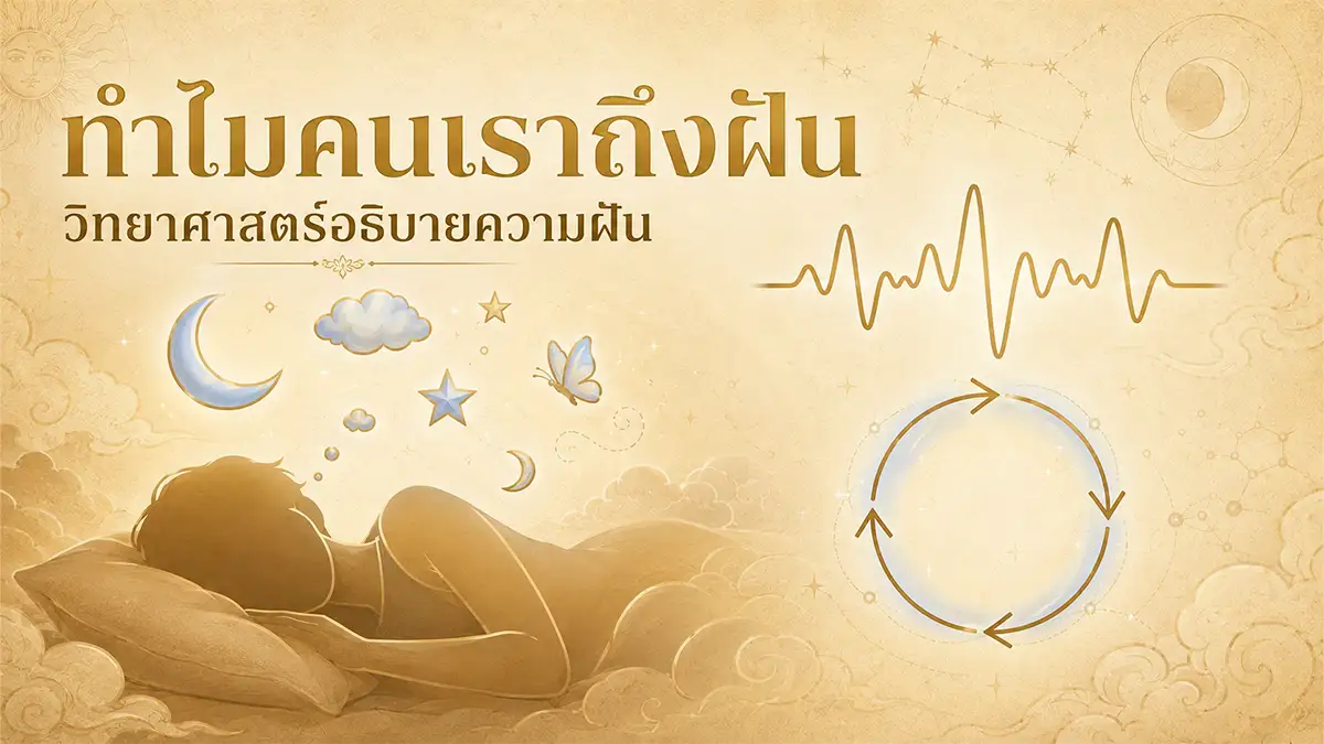 ทำไมคนเราถึงฝัน วิทยาศาสตร์อธิบายความฝัน